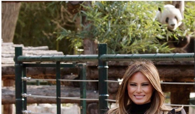 16 - Melania allo zoo con i Panda 