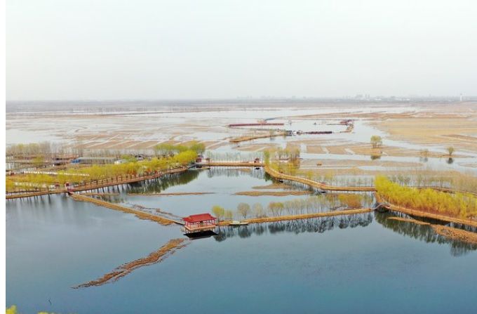 lago di Baiyangdian